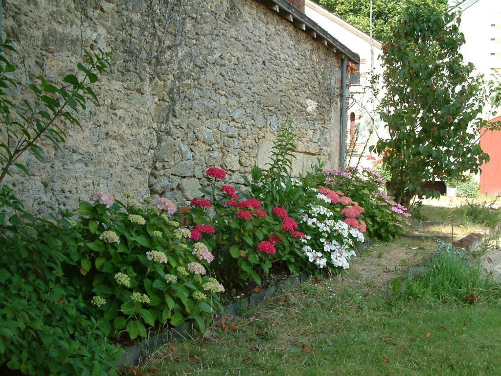 לינה וארוחת בוקר Tigné Chateau Du Beugnon מראה חיצוני תמונה