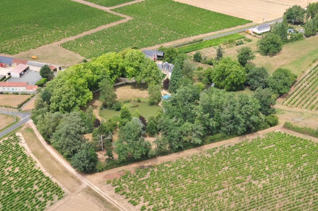 לינה וארוחת בוקר Tigné Chateau Du Beugnon מראה חיצוני תמונה